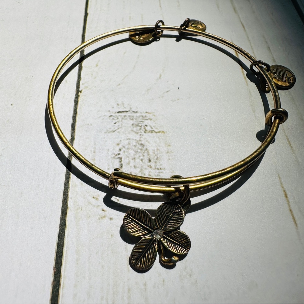 Alex and Ani | FOUR Charm Bangle Bracelets - Picture 5 of 5